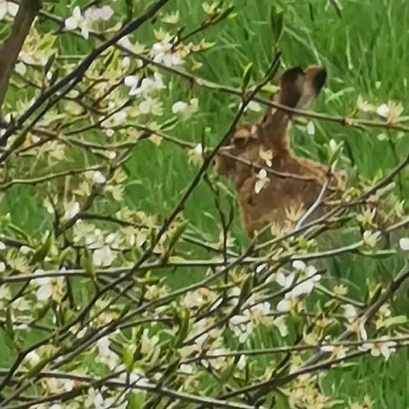 Refugium29a בית נופש