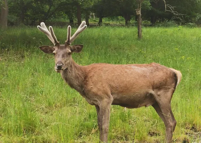 Casa de Férias Refugium29a
