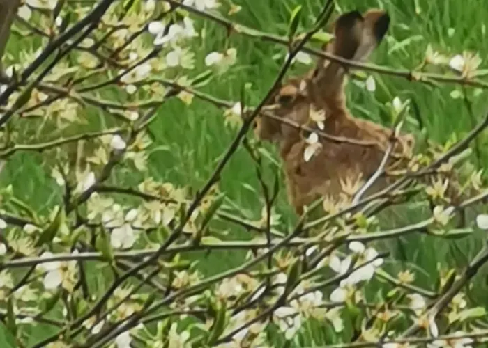 Refugium29a Casa de Férias