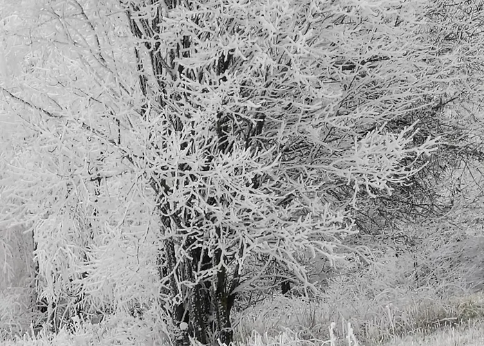 Casa de Férias Refugium29a