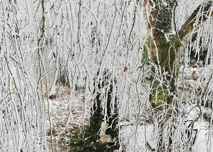 Casa de Férias Refugium29a Horn
